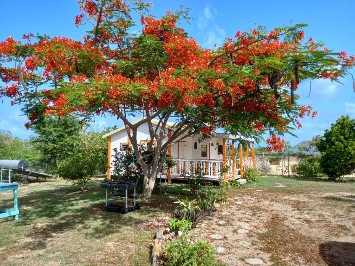 Bungalow Au Soleil 圣弗朗索瓦 外观 照片